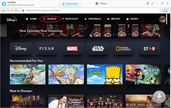 search for Disney Plus videos