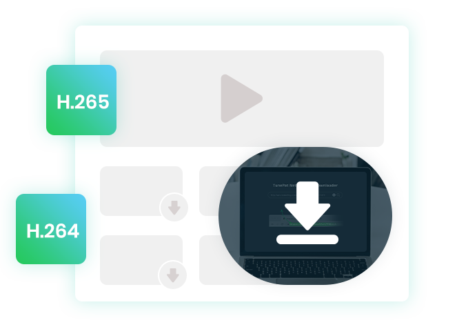 support h264/265 video codecs