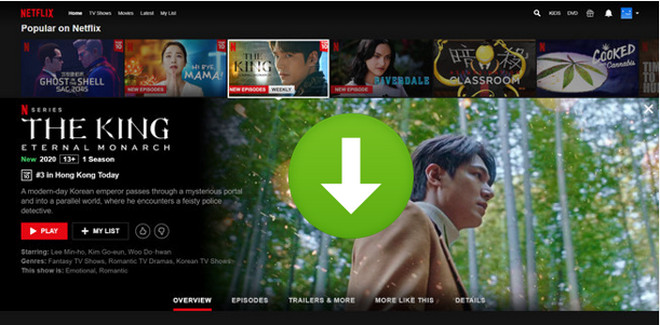 download netflix video from web browser