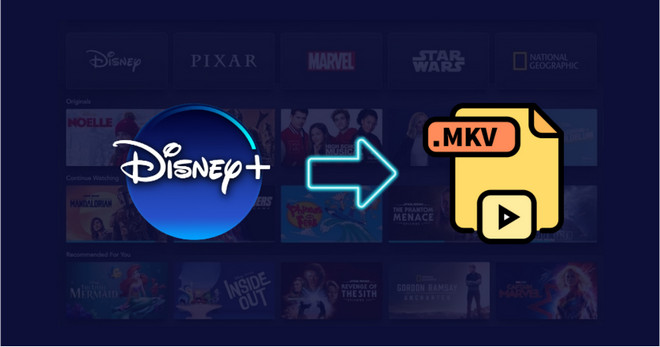 download disney plus video to mkv