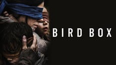 bird box