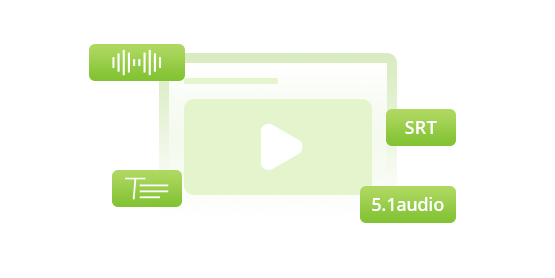 Keep multiple audio and subtitles
